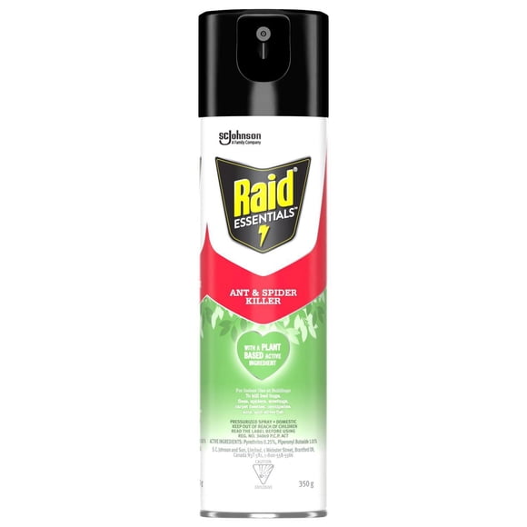 Raid Essentials Ant and Spider Insect Killer Spray, for Indoor Use, 350g