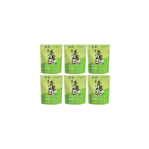 Vibe Kale Chips - Air Dried Gluten-Free Nut-Free Vegan Healthy Snacks - Sour Cream and Green Onions, 75g Each - Pack of 6