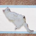 thumbnail image 4 of Hearth & Gear Revolutionize With Dog Thickened Odor Proof Pee Pad – Superior Odor Control For A Cleaner Home!, 4 of 4