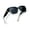 Gradient Green Frame/Grey Lens, variant on Joopin Large Polarized Fit Over Glasses Sunglasses For Women Men, Oversized Trendy Square Shades For Driving(Tortoise)