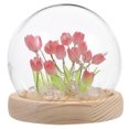 thumbnail image 1 of Miangastore Tulip Shape Plastic 1 Set 3.93x3.93x3.93in, 1 of 8