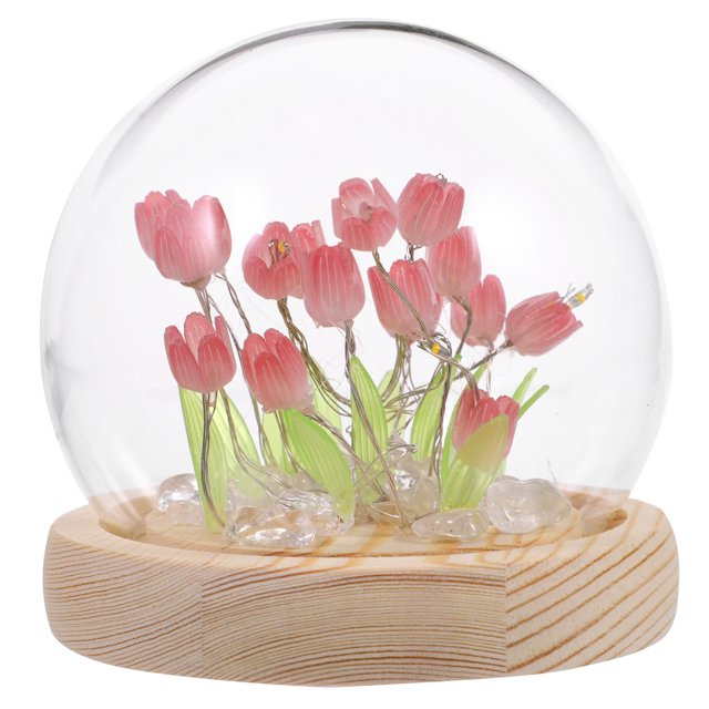 Miangastore Tulip Shape Plastic 1 Set 3.93x3.93x3.93in