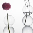 thumbnail image 2 of jifeng Glass Flower Vase Wooden Stand Terrarium Container Air Plant Bulb 2 Balls, 2 of 7