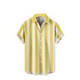 thumbnail image 1 of Besolor Mens Summer Button down Shirts 2025 Stripe Collared Short Sleeve Tops Big and Tall Beach Vacation Shirts, 1 of 5