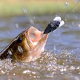 thumbnail image 3 of 1 Pce Attrape-Cicadelles Attractif pour Eau Douce Poisson / Attirail pour Poisson Réaliste en Forme de Cicade Fournitures de Pêche Hameçon Robuste Réutilisable Nage pour Lac Étang, 3 of 3