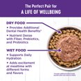 thumbnail image 3 of Wellness, Feline Adult - GF Complete Health - Healthy Weight - Chicken - Dry Cat Food, 3 of 5