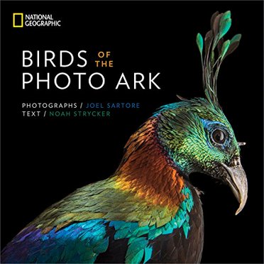 Les Oiseaux de l'Arche Photo