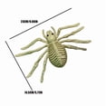thumbnail image 3 of SIYTUAU Animal Skeleton Decor For Halloween Spider Bat Props Indoor Outdoor Display White Plastic Life Size Anatomical Model, 3 of 8