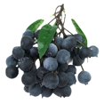 thumbnail image 1 of Artificial Fruit, Lifelike Decorative Fruits, Artificial Blueberries Simulation Lychee Longan Fake Grapes for Home Kitchen Wedding Office Party Decor, Photography Props, 1 of 5