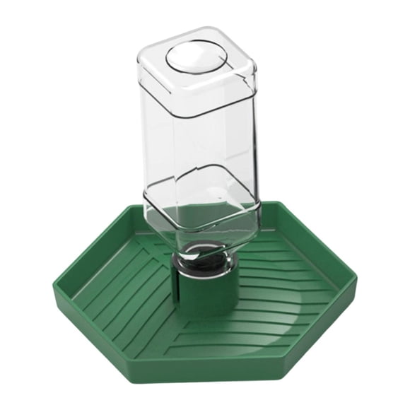 Mornei Reptile Water Feeder Automatic Water Dispenser for Amphibians Geckos Turtles L