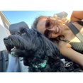 thumbnail image 4 of FEISEDY Womens Oversize Square Boyfriend Style Horned Rim Thick Plastic Sunglasses B2585, 4 of 6