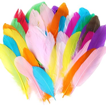 50 Pieces Set Natural Colourful DIY Feather Craft Toy for Kids Feather