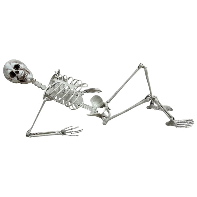 70Cm One Eyed Skeleton Prop For Halloween Decor Human Skull Anatomy Model Plastic Black Style A 1Pc A