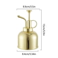 thumbnail image 2 of HomeSphere Brumisateur Manuel pour Plantes, Petit Mini Rétro Doré en Acier Inoxydable 304, 2 of 3