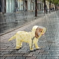 thumbnail image 2 of SIfdSeng Small Dog Raincoat Hooded with D Ring Full Coverage Dog Rain Jacket Slicker Poncho Dog Rain Jacket with Reflective Strip Rainboot Dog Hoodie for Small Dogs Girl, 2 of 9