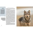 thumbnail image 3 of The Sea Wolves: Living Wild in the Great Bear Rainforest, 3 of 6