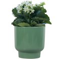 thumbnail image 4 of Mainstays 6in Petra Small Ceramic Green Planter, 4 of 6