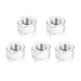 thumbnail image 1 of yeacher Stainless Steel M12 Hex Nut Set - 5PCS, Smooth Surface, Durable, DIN934 A2 Grade, Zinc Plated, Various Sizes Available, 1 of 6