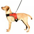 thumbnail image 1 of New K-shaped Luminous LED Harness For Pet Dog Chest Harness For Medium And Large Dogs Night Travel, 1 of 7