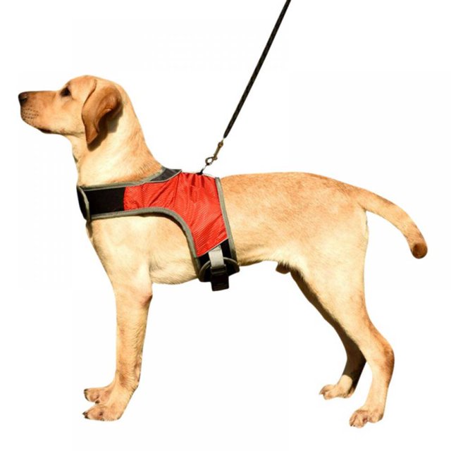 New K-shaped Luminous LED Harness For Pet Dog Chest Harness For Medium And Large Dogs Night Travel