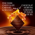 thumbnail image 2 of Lindt EXCELLENCE Caramel & Sea Salt Dark Chocolate Bar, 100 Grams, 2 of 14