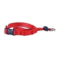 thumbnail image 1 of Gentle Leader Head Collar Dog Training Guide Walk Anti Pull Choose Size & Color (Red, Medium 25-60lbs), 1 of 1