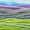 Ghidora, variant on Lion Brand Yarn Mandala Multicolor Light DK Acrylic 3 Pack Yarn