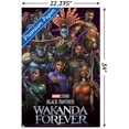 thumbnail image 4 of Marvel Black Panther : Wakanda Forever - Groupe, 4 of 4