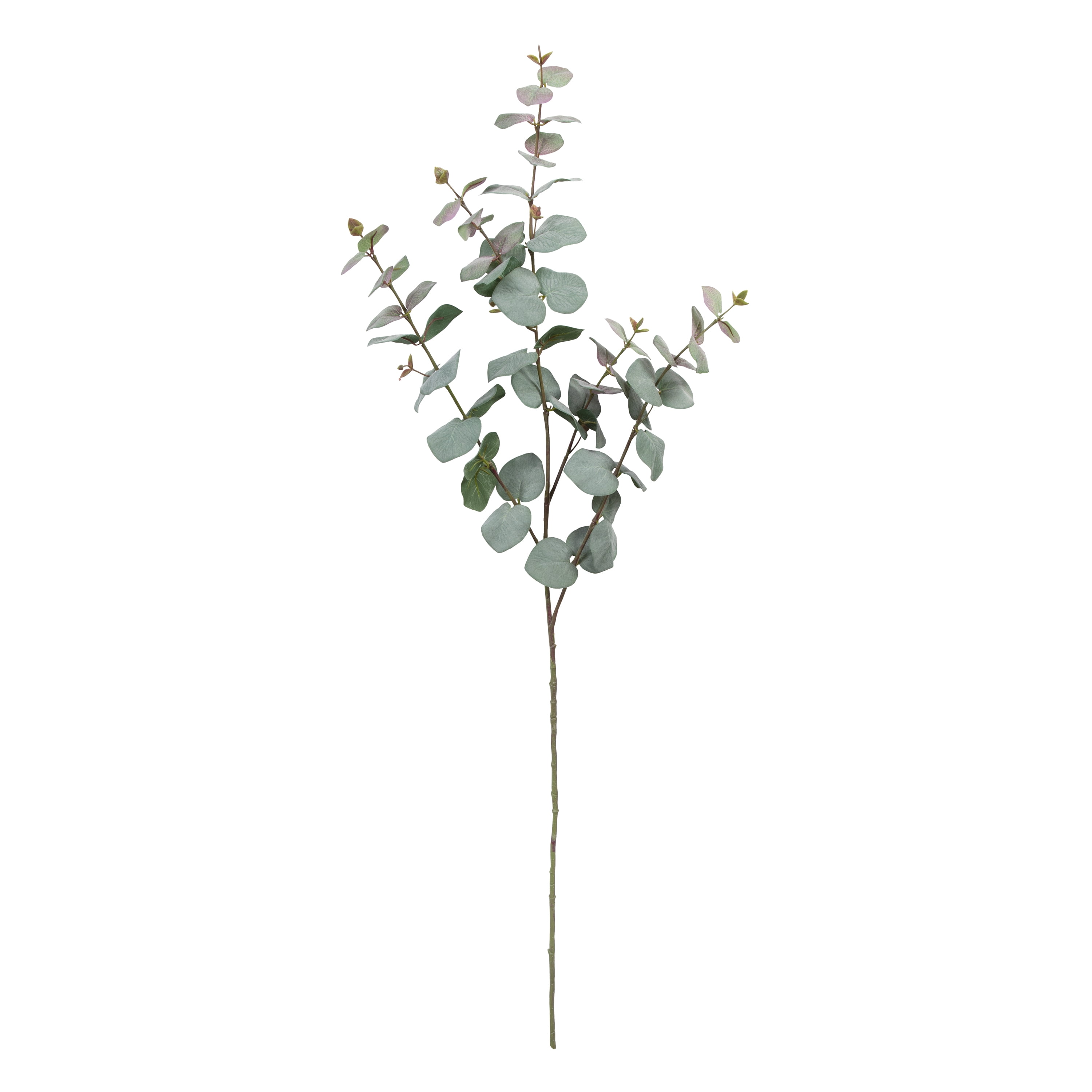 Tige longue d'eucalyptus artificiel Mainstays