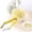 Yellow, variant on Product Category Food Clips - Multifunctional Pineapple Eye Remover and Stainless Steel Pineapple Corer Slicer and Strawberry Cutter Tool for Kitchen