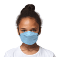 thumbnail image 1 of Respirator CA N95 Flat Fold Extra Small (Adult or Child), 1 of 4