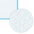 thumbnail image 4 of Fesfesfes Absorbent Pee Pad 13*17.7in Disposable Pet Diaper Mat Super Absorbent Leak-Proof Bottom for Cages Litter Box Non-Odor Disposable Pad for Small Pets Daily Use, 4 of 5