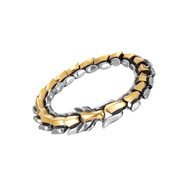 Bracelet Punk Gothique en Acier Titane Échelle dragon Argenté Multicolore 9.05 Pouces