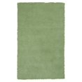 thumbnail image 1 of HomeRoots 353408 Tapis en Polyester Vert Menthe Verte 27 x 45 Po, 1 of 1