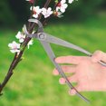 thumbnail image 3 of Ergonomic Long Handle Bonsai Branch Cutter, Branch Cutter, For Park Gardening, 3 of 8
