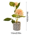 thumbnail image 3 of Two Small Bonsai Living Room Decoration Desk Desk Home Simulation Flower Decoration, 3 of 4