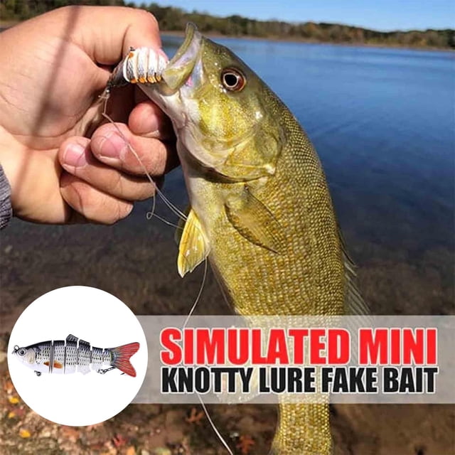 BKER Hameçon de Poisson 3D de Simulation Forme de Poisson Réaliste Fournitures de Pêche pour Lac Rivière pour Amateurs de Pêche Débutants