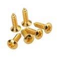 thumbnail image 1 of MasteelfCA 50 Pcs Vis de Protection pour Médiator de Basse de Guitare pour Guitare ST TL SG LP (Doré), 1 of 3