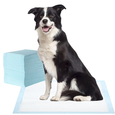 100 Tapis d'Entraînement pour Chiot, 24 Pouces x 24 Pouces Tapis Super Absorbant et Imperméable pour Chien et Chiot