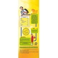 thumbnail image 2 of Dabur Real Alphonso Mango Nectar, 2 of 3