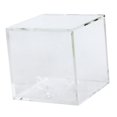 thumbnail image 4 of Clear Acrylic Baseball Box Dustproof Storage Case for Official Size Ball Display, 4 of 8