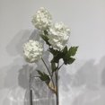 thumbnail image 2 of Snowball Spray, 2 of 3