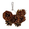 thumbnail image 2 of Birdeem Jouet Pomme de Pin Fournitures Apaisantes, 2 of 9