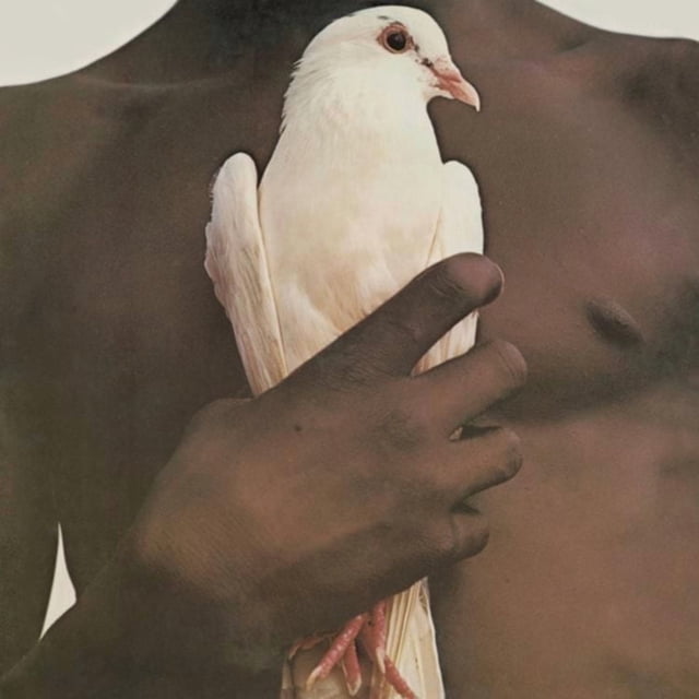 Greatest Hits LP by Santana