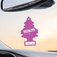 thumbnail image 4 of LITTLE TREES air freshener Dragon Fruit 3-Pack, 4 of 8
