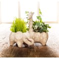 thumbnail image 2 of Linen Chest Elephant Planter, 2 of 3