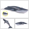 thumbnail image 4 of CAROOTU Lifelike Shark Shaped Toy Realistic Motion Simulation Animal Model or Whale Toy or Shark Shaped Toy, 4 of 7