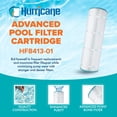 thumbnail image 2 of Hurricane HF8413 Replacement Spa Filter Cartridge for PA20-4 and Unicel C-4320, 2 of 6