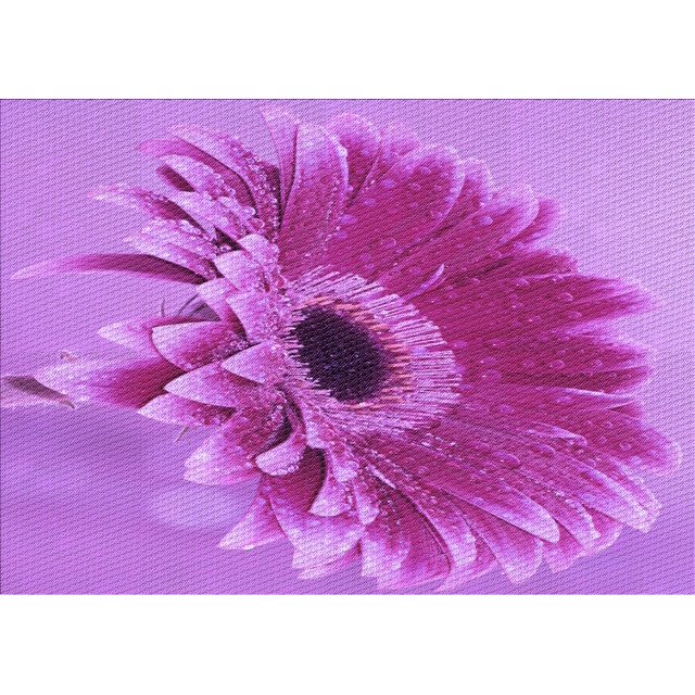 Ahgly Tapis Rectangulaire Lavable en Machine Intérieur Transitionnel Violet Violet, 8 Pieds x 10 Pieds