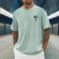 thumbnail image 2 of T-shirts pour Hommes Imprimés Palmier Graphiques T-Shirts Décontractés Été Plage Hawaïenne Manches Courtes Col Rond, 2 of 4